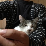 ��������ʿͤ�ʪ����Τ���˳䤯�ϤϾ��ʤ��ۤɤ˵ȡ٤β���