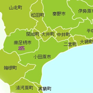 三度の飯＜犬と猫