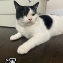 ４兄妹。