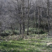 2025.05 ��� ζ��ƶ1 �����Ȥα���