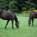 『最低気温』の画像