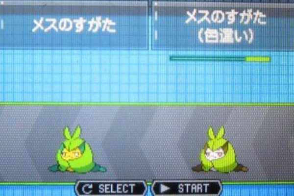 ポケモンオメガルビー攻略 Oras速報 ポケモン