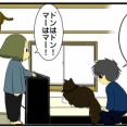 同じ年頃の子は、なにかと比べられがち【猫との暮らし】【多頭飼い】