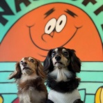  Every day is a good day