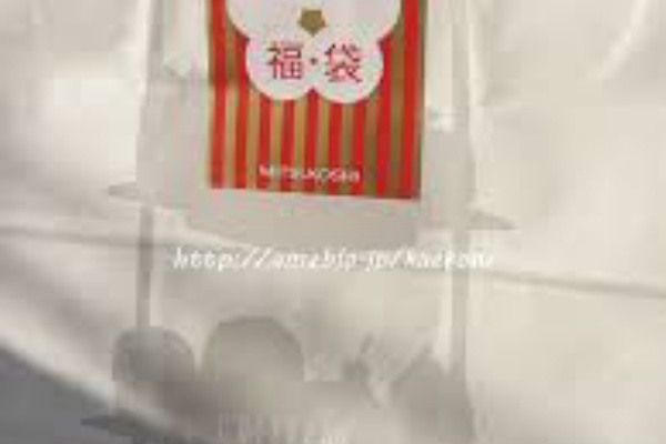 ブランド福袋予約受付中 14