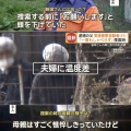 【ﾌｧﾝｻﾏﾘｨ】安達優季容疑者「衝動的に首を絞めて殺した」　逮捕前の任意の調べで供述　ドラレコ映像が一部消去【京都小学生行方不明】