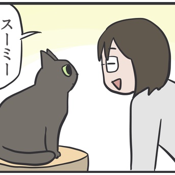 頬で感じる肉球