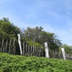 もし関ケ原の戦いで東軍が負けてたならその後どうなってたん？