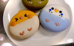 『インコドーナッツ🐦』の画像