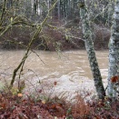 雨と風の１２月