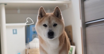 時が経つのは…