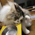 簡単過ぎるクイズだよ