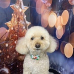 ズーズーカンパニー スタッフブログ