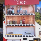 『雪？』の画像