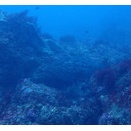 沖は激流（汗）