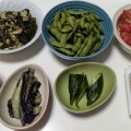266　おうちごはん