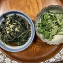 里山のご馳走（春）