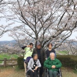 『お花見（小規模多機能ホームくすの木）』の画像