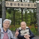 巾着田に行って来ました