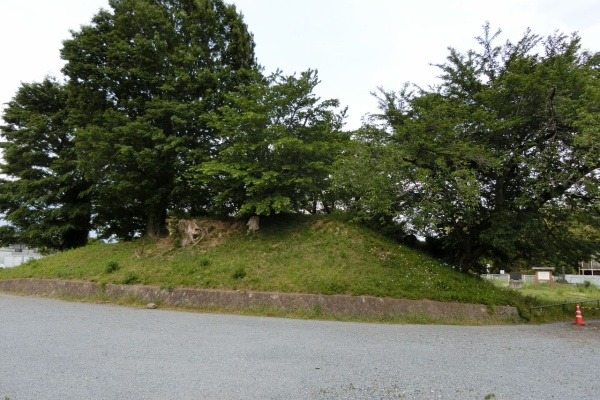 ウシ子とウシ夫の牛歩旅 高崎市 前橋市史跡巡り 群馬県 19 5 18