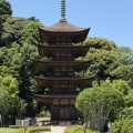 「そうだ！山口へ行こう！」③ 瑠璃光寺。美しき五重塔と、進化する技術に感動！