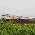 北海道鉄道撮影の旅　その10　2025.6.26~30