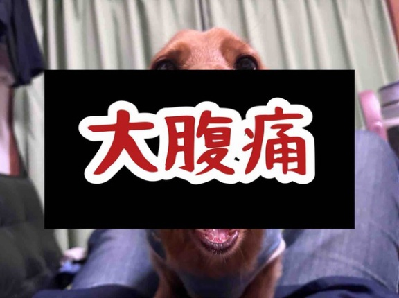 体調不良。