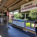 ランチは東大構内のフランス料理