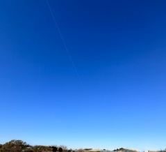 🐜謹賀新年🐜