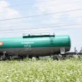 7月5日撮影　EH200-901号機　クマイチが牽く西線貨物8084ﾚより