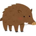 ゆあチァンネル