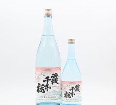 【芋焼酎】「霞 千本桜」入荷致しました！