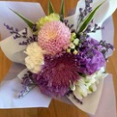 シニアフラと来年の構想