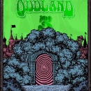 ODDLAND3、沖縄へ