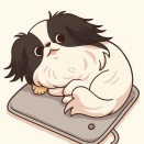 お気に召したようで