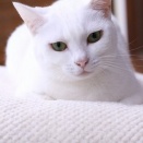 定休日。