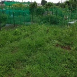 『今週もお疲れさまでした！』の画像