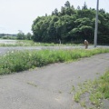2025年5月27日　木くず破砕施設「あじさい」　草刈