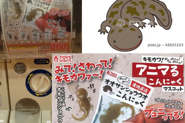 イラストレーターみやもとかずみのイラスト素材 ๑ ๑ オオサンショウウオ イラストレーターみやもとかずみのイラスト素材 ๑ ๑ オオサンショウウオ