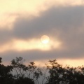 もう数日で夏至