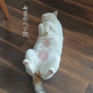 帰省は心身の回復。と、ネイビーのギラギラ枝豆つくりました。