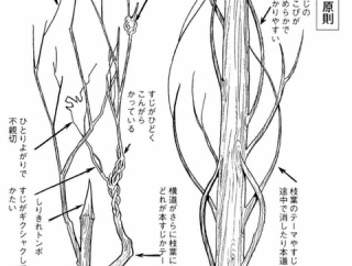 【画像】手塚治虫が提唱した長編漫画の構成・原則ｗｗｗｗｗｗｗ