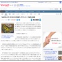 ポケモンカード転売ヤーさん、ほぼ何もせず月に◯◯◯万円も稼いでしまう……