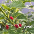 5月13日(水) (^O^)／