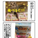 里親会ありがとうございました！