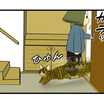 【猫との暮らし】猫の方が１枚上手