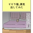 ビビり猫、勇気出してみた