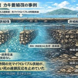 『「光マイクロバブル文明史」考（第6150回記念）（11）陸奥湾ホタテ問題（12）』の画像