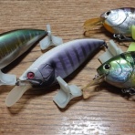 BASSと女は追うな・・・（必ず置いてきぼりを食う）