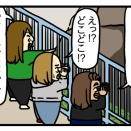 マサイ族かて。